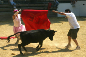 Jeux de vachette - Le ranch labat